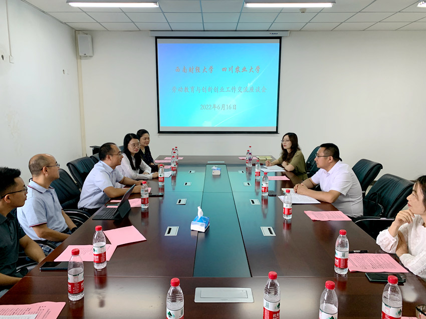 西南财经大学与英国上市公司365举行劳动教育与创新创业工作交流座谈会。人民网 王波摄